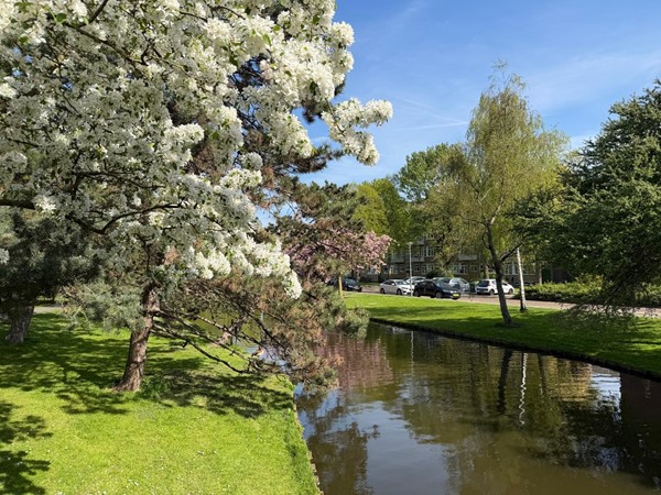 Medium property photo - Statensingel 154A, 3039 LW Rotterdam